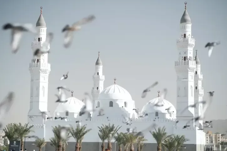 Madina Tours | Madina Tours and Travels | Madina City Tour